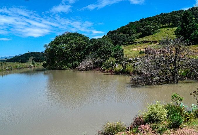 Amealco de Bonfil, Querétaro