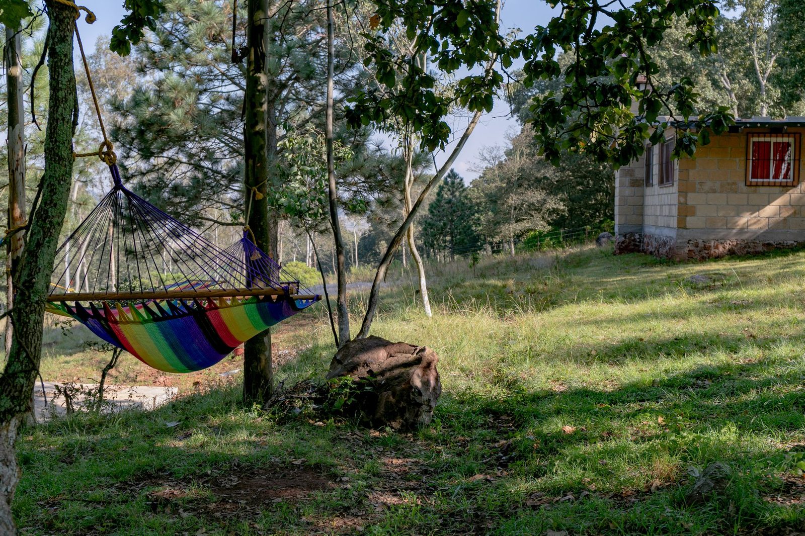 Hamaca de descanso entre los árboles