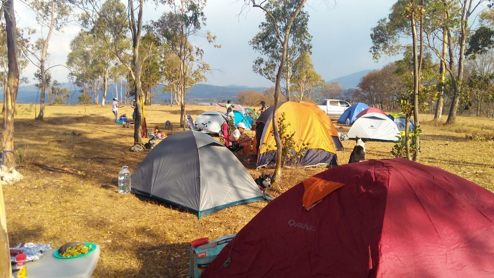 Zona de campamento